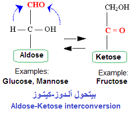 aldose-ketose interconversion
