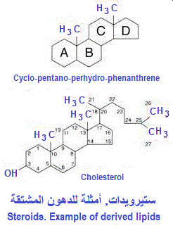 phenanthrene, cholesterol