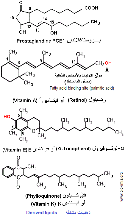derived lipids