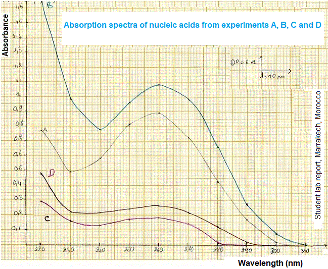 Nucleic acids (DNA, RNA). Spectrophotometry quantification - تحديد الأحماض النووية