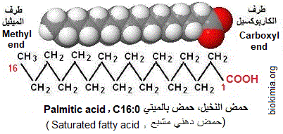 palmitic acid