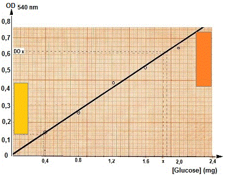 DNS. Reference curve