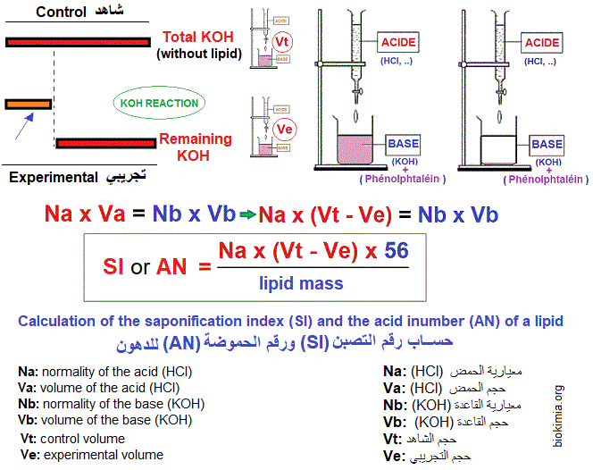 SI and AN calculations