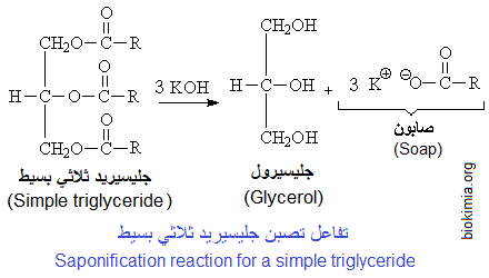 simple triglyceride