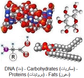 biochemistry materials