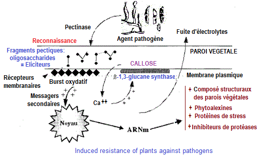 plat induced resistance
