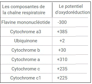 Chaîne respiratoire