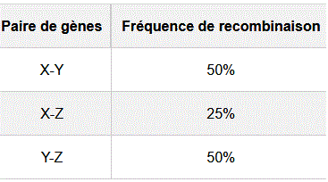 recombinaison génétique