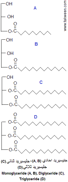 glycerides