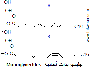 monoglycerides