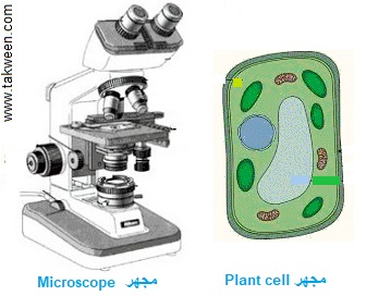 Microscope