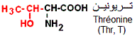 Thr
